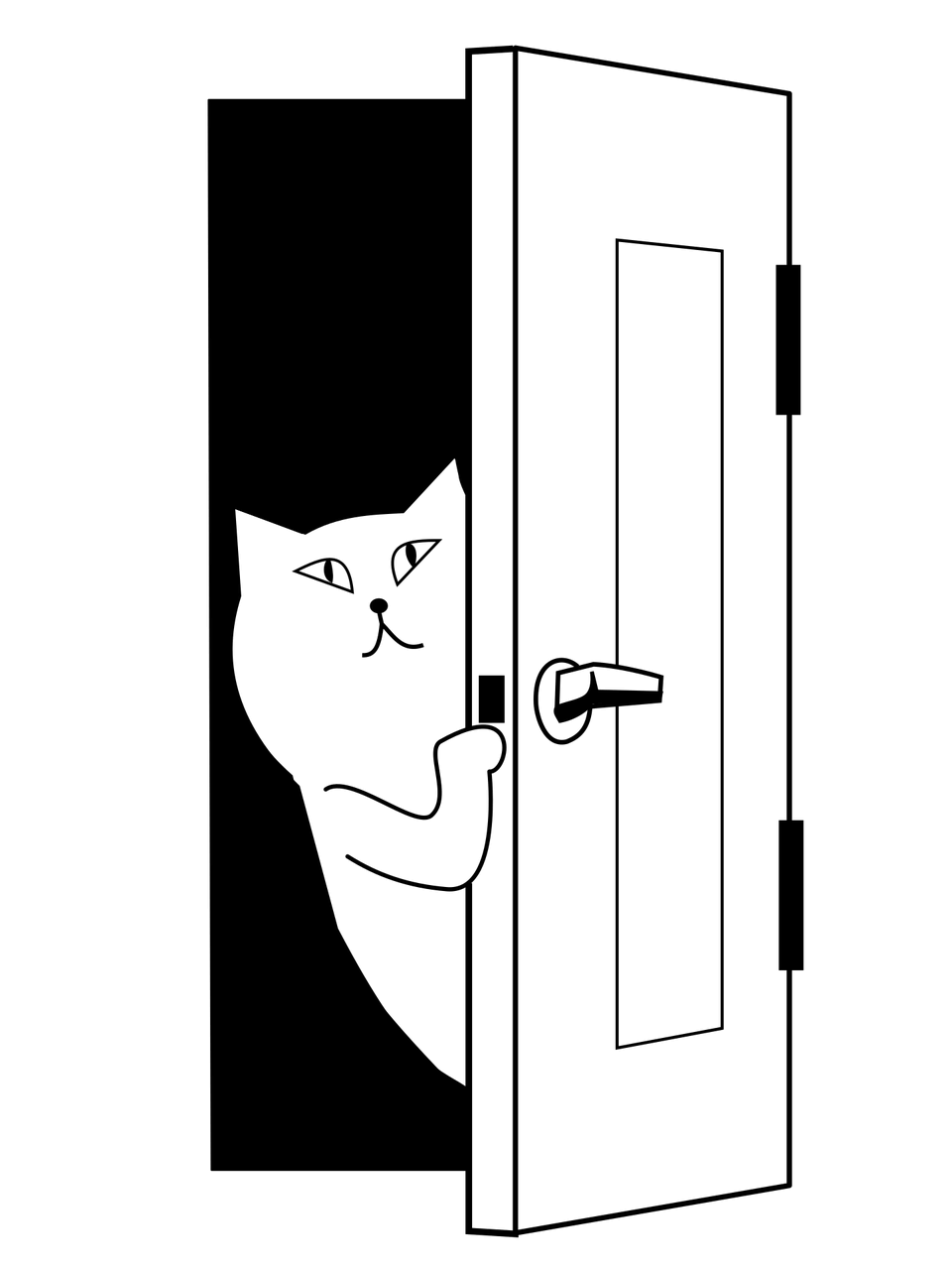 Двери 911
